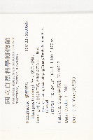 鄧氏胡頹子藏品圖，第2張