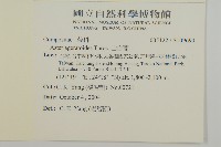 山白蘭藏品圖，第2張