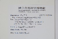 岩生秋海棠藏品圖，第2張