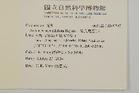 中原氏鬼督郵藏品圖，第2張