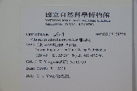 珊瑚樹藏品圖，第2張