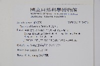 明萼草藏品圖，第2張