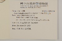 清水馬蘭藏品圖，第2張