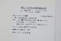 苗栗冬青藏品圖，第2張