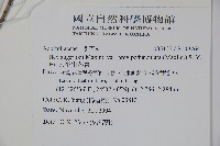 太平山冬青藏品圖，第2張