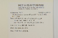 阿里山油菊藏品圖，第2張