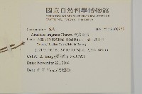 香鬼督郵藏品圖，第2張