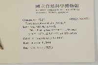 菱葉衛矛藏品圖，第2張