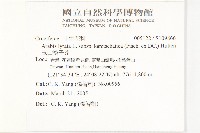 玉山筷子芥藏品圖，第2張