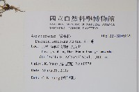 風不動藏品圖，第2張