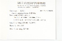 東瀛珊瑚藏品圖，第2張