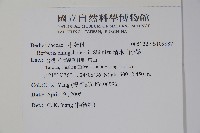 清水山小檗藏品圖，第2張