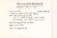 西洋蒲公英藏品圖，第2張