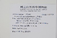 白斑細辛藏品圖，第2張