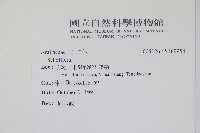 登錄號:S109954藏品圖，第2張