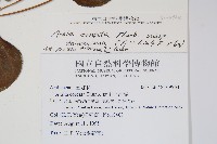 登錄號:S109964藏品圖，第2張