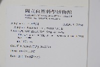 八角楓藏品圖，第2張