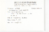 東瀛珊瑚藏品圖，第2張