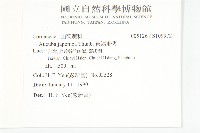 東瀛珊瑚藏品圖，第2張