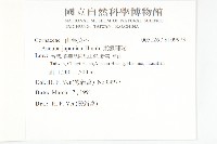 東瀛珊瑚藏品圖，第2張