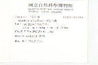 東瀛珊瑚藏品圖，第2張