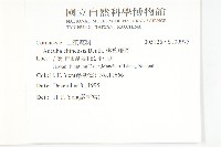 桃葉珊瑚藏品圖，第2張