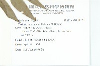 臺灣馬桑藏品圖，第2張