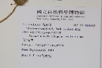 鷗蔓藏品圖，第2張