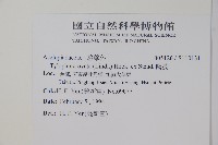 鷗蔓藏品圖，第2張