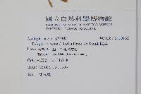 鷗蔓藏品圖，第2張