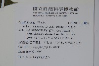 大花忍冬藏品圖，第2張