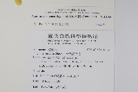 臺灣紅榨槭藏品圖，第2張