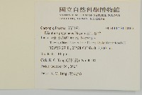 玉山石竹藏品圖，第2張