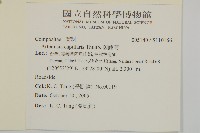 細葉山艾藏品圖，第2張