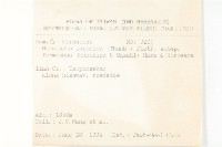 臺灣青莢葉藏品圖，第2張