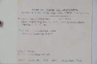 太平山冬青藏品圖，第2張