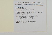 球序卷耳藏品圖，第2張