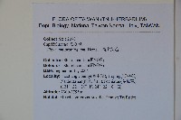 高山莢迷藏品圖，第2張