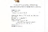 貓兒菊藏品圖，第2張