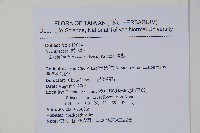 臺灣馬藍藏品圖，第2張