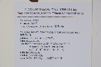 臺灣赤楊、臺灣榿木藏品圖，第2張