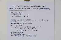 青楓藏品圖，第2張