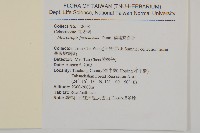 福建賽衛矛、福建假衛矛藏品圖，第2張