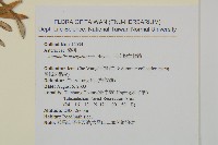 抱莖籟簫藏品圖，第2張