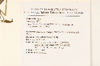 田代氏澤蘭藏品圖，第2張