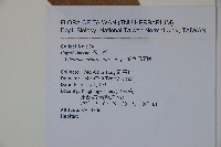 著生珊瑚樹藏品圖，第2張