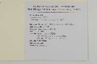 玉山卷耳藏品圖，第2張