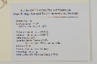 繁縷藏品圖，第2張