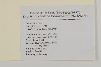 疏花繁縷藏品圖，第2張