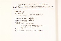 臺灣蒲公英藏品圖，第2張